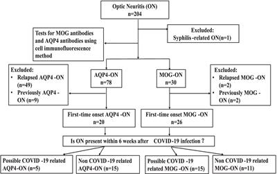 A comparative study on anti-MOG and anti-AQP4 associated optic neuritis following mild COVID-19: insights from a Chinese single-center experience